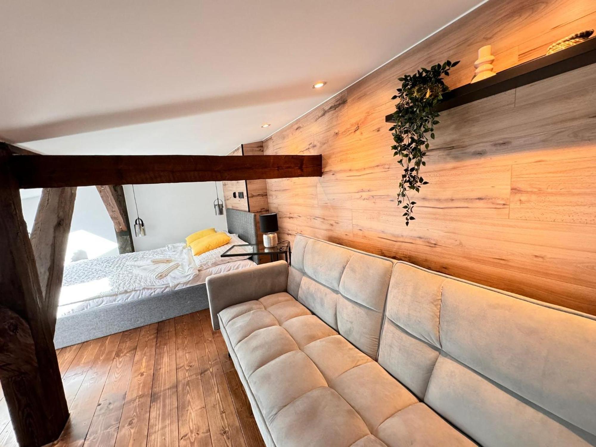 Loft In The Center By Kobiela Apartment *